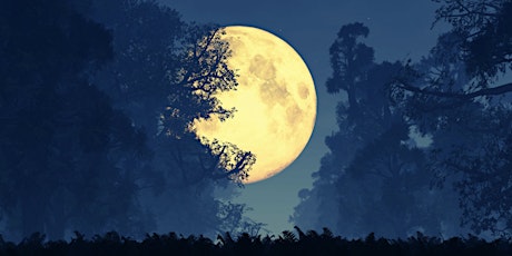 Imagen principal de Full Moon Circle - Online