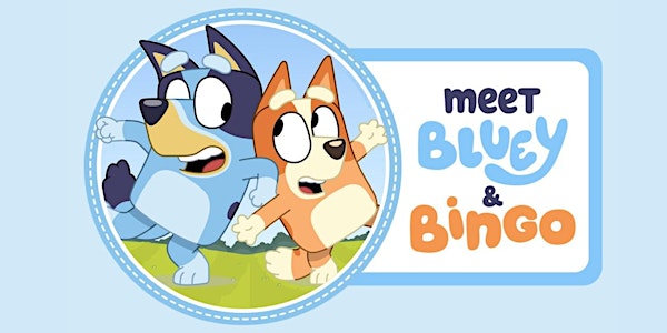Meet Bluey & Bingo!