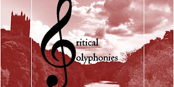 Music and Literature: Critical Polyphonies