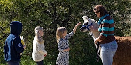 Family fun on the farm-September primary image
