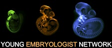 Organiser profile image