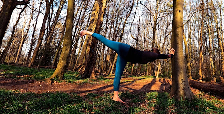 Forest Bathing and Yoga  at Stanmer Park - Brighton (4-5h) image