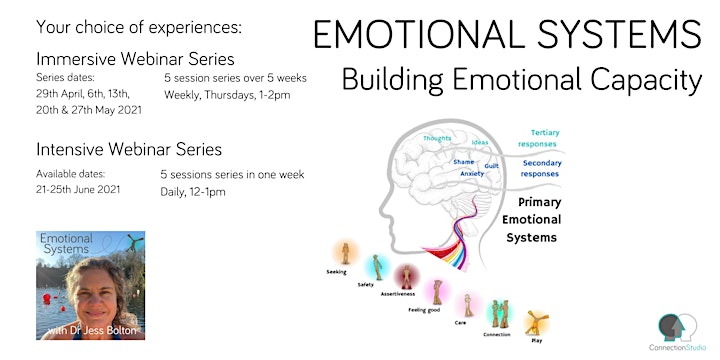 
		Emotional Systems: Building Emotional Capacity (Intensive) image
