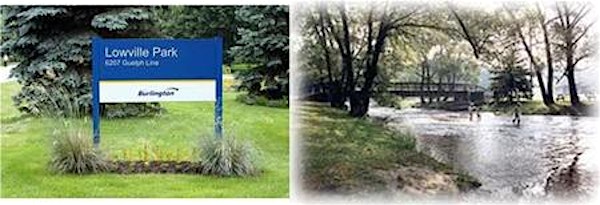 Association for Bright Children of Ontario: Halton Chapter Annual Picnic