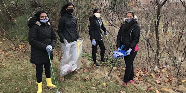 Conservation Youth Corp - Volunteer Week 4