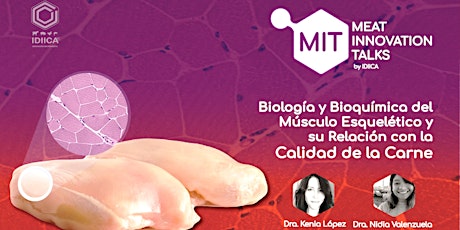 Imagen principal de Biología y Bioquímica del Músculo y su Relación con la Calidad de la Carne