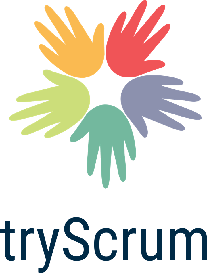 PROFESSIONAL SCRUM MASTER image