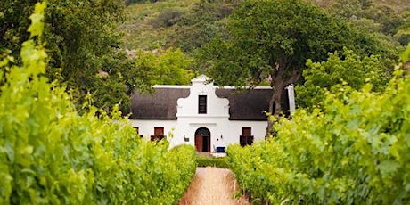 Complimentary Tasting: South African Surprises primary image