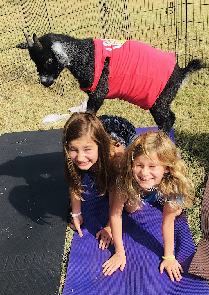 
		Outdoor Goat Yoga Class on the Farm image
