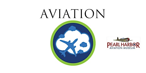 Imagen principal de Aviation Badge Online
