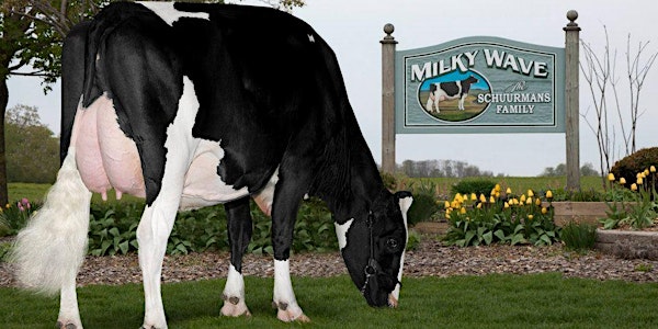 Waterloo Region Dairy Farm Visit!