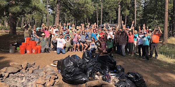 Pickin' Up in the Pines: Summer Cleanup Series
