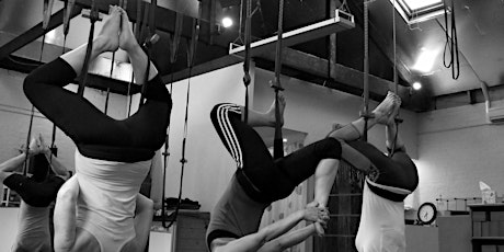 6-week Intro to Aerial Yoga Course primary image