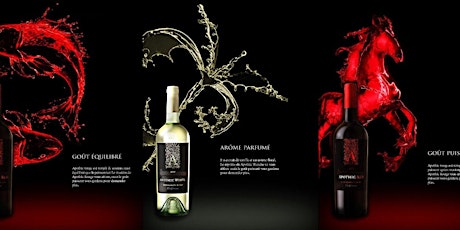 Réseautage avec Vin Apothic / Apothic Wines Networking Event primary image