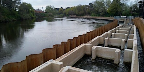 The Story of Diglis Fish Pass - With BSL