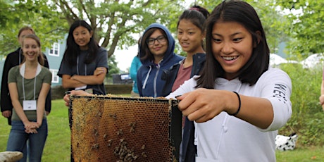 Sr. Girls Get WISE Science Summer Camp primary image