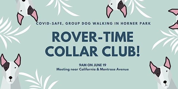 June's Collar Club Walk