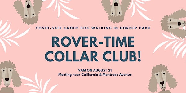 August's Collar Club Walk