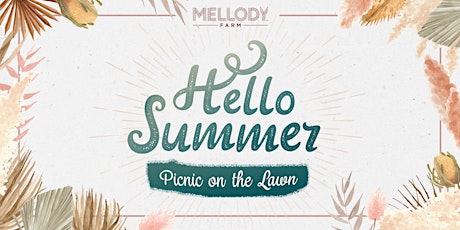 'Hello Summer' Luxury Picnic on The Lawn