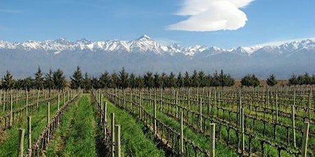 Foothills of the Andes: The Wines of Chile & Argentina primary image
