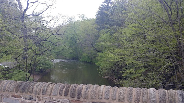 Cresheim Wissahickon Hike image