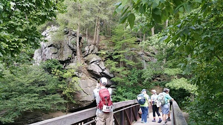 FreeWalkers Getaway: Pennypack Trail Walk image