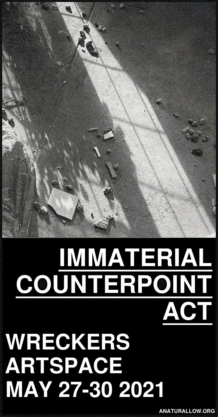 Immaterial Counterpoint Act | Wreckers Artspace, 27-30 May 2021 (opening) image