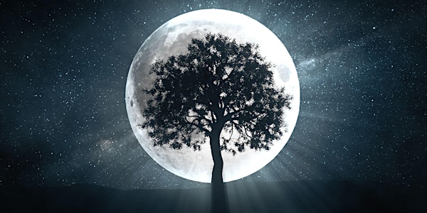 Full Moon Meditation Circle - May