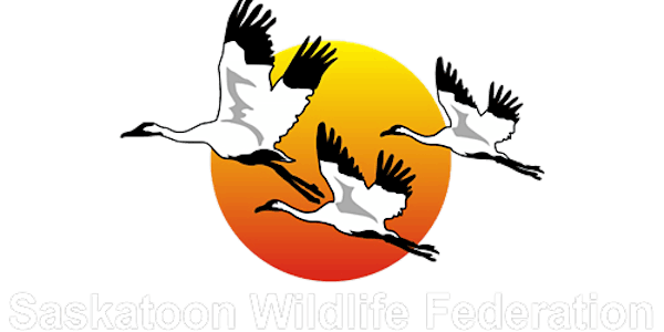 Project Mapleseed- Saskatoon Wildlife Federation, Sask., June 6th, 2021