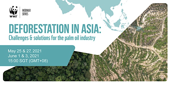 Deforestation in Asia: Challenges & solutions for the palm oil industry