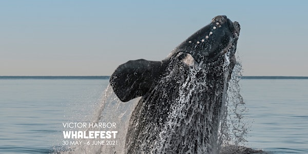 WhaleFest - Whale Science Talk