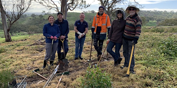 Restoring Habitat in the Adelaide Hills - Planting in Gumeracha May 2021