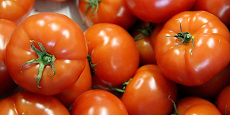 Image principale de Fête de la Tomate