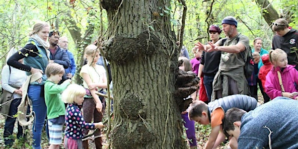 Wonderful Woodlands: Tree Discovery in the Stoke Park Estate