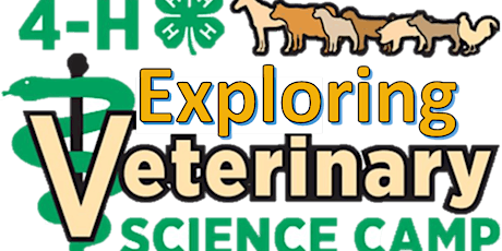 VIRTUAL: 4-H Exploring Veterinary Science Day Camp primary image