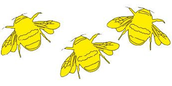 Bees in a Tin 2015
