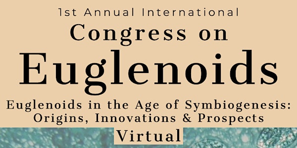 Euglenoids in the age of symbiogenesis: Origins, innovations, and prospects