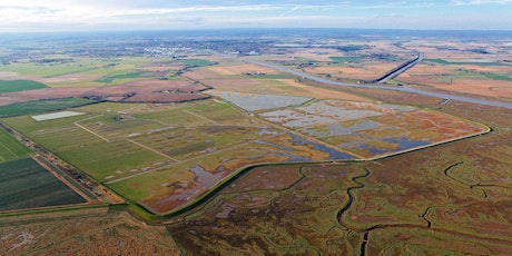 Discover Frampton Marsh primary image