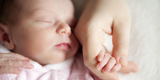 Imagen principal de CPR: Infant Only (In-person)
