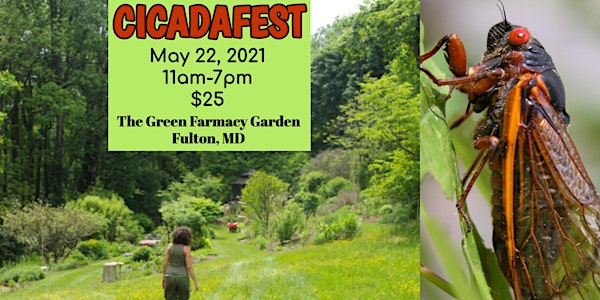 Sold Out: CICADAFEST 2021