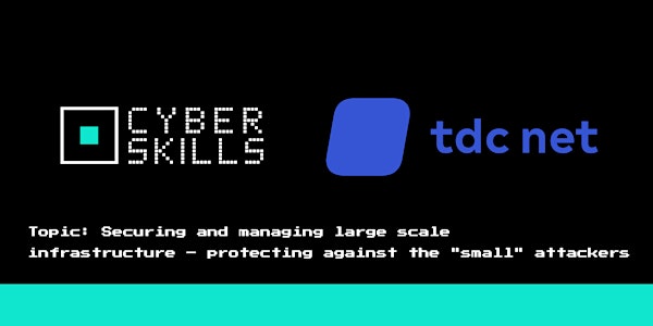 Protecting against the "small" attackers by TDC NET