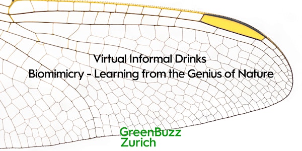 Virtual Informal Drinks: Biomimicry - Learning from the Genius of Nature