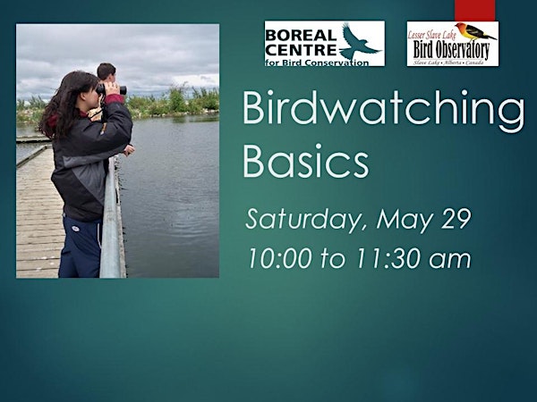 Birdwatching Basics Webinar