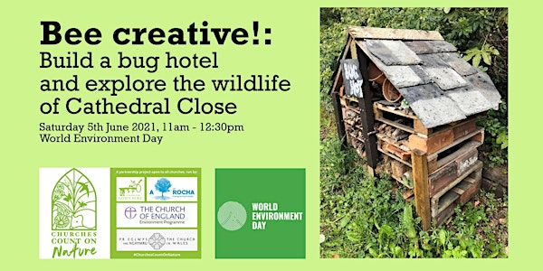 Bee creative!: Build a bug hotel & explore the wildlife of Cathedral Close