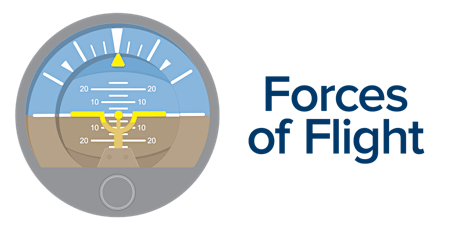 STEM Summer: Forces of Flight primary image