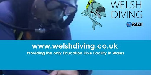 Primaire afbeelding van SCUBA DIVING - TRY DIVES (Bryntirion School Bridgnd )