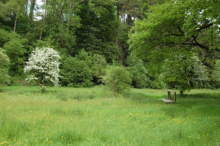 Brook Open Meadows May image