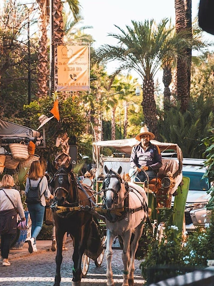 Marrakech Horse Carriage Ride - Virtual Live Tour image