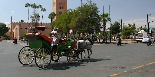 Virtual Live Marrakech Horse Carriage Ride with Walking Tour in Medina