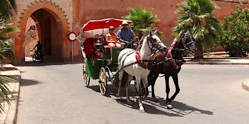 Virtual Live Marrakech Horse Carriage Tour and Majorelle Garden Excursions